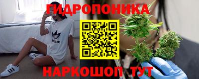скорость Кунгур