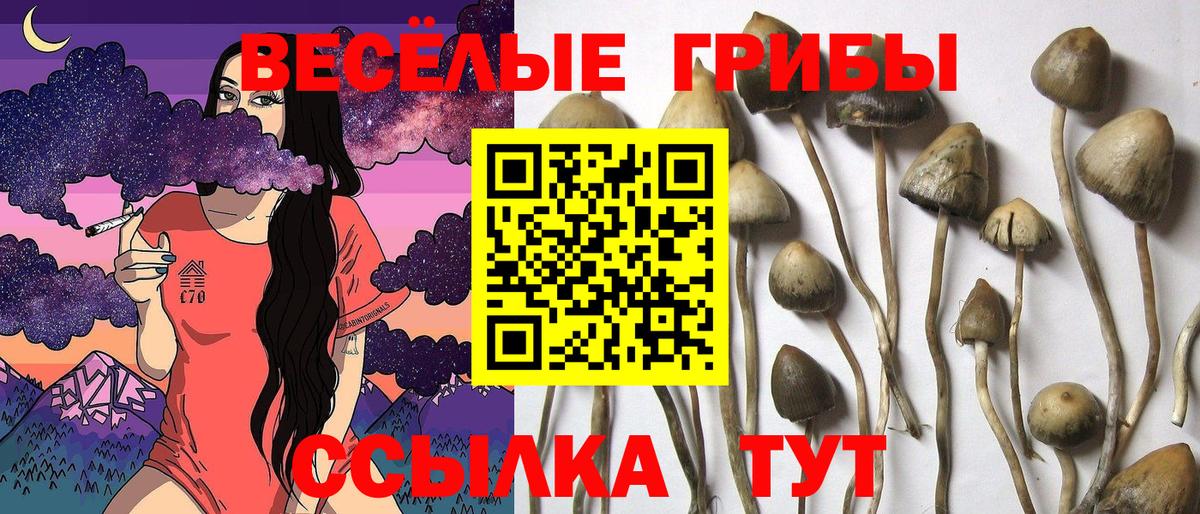 Псилоцибиновые грибы мицелий  Вход с VPN  Томск 