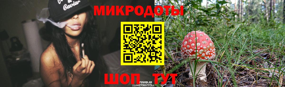 Псилоцибиновые грибы Cubensis Томск